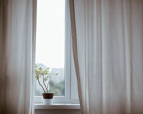 curtains-decoration-indoors-plant