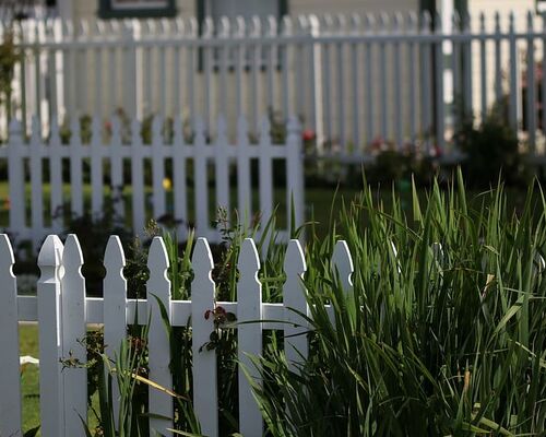 white-picket-fence-yard-outdoor-green