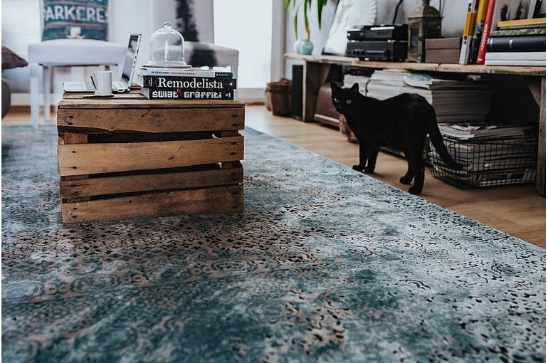 furniture-home-table-living-room
